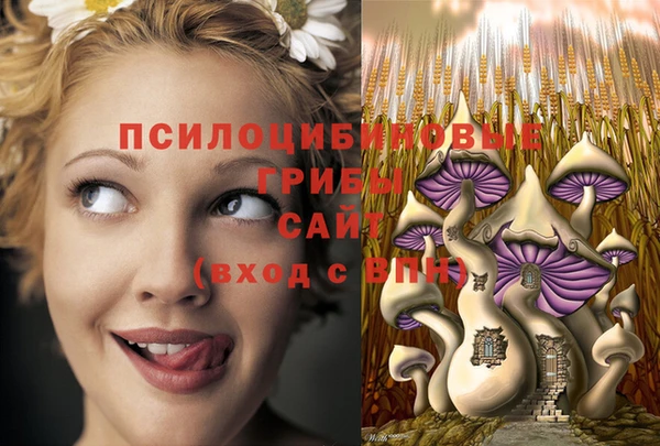 гидра Баксан